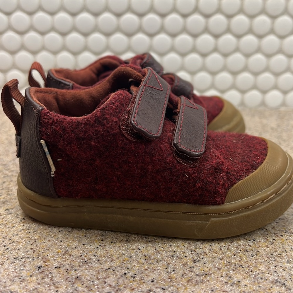Toms Toddler Size 6